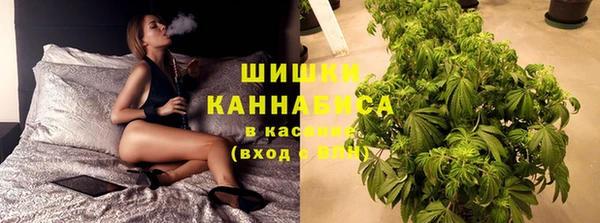 прущие грибы Кукмор