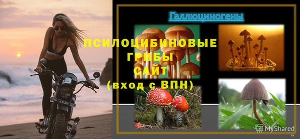 амф Костерёво
